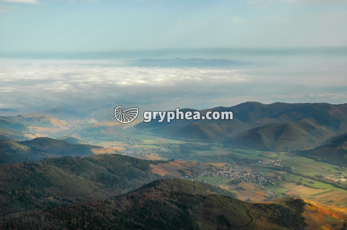 Plaine d'Alsace - vue aérienne - gryphea.com